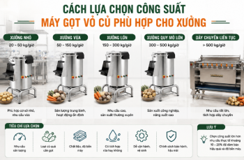 Cách lựa chọn công suất máy gọt vỏ củ phù hợp cho xưởng