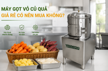 Máy gọt vỏ củ quả giá rẻ có nên mua không?