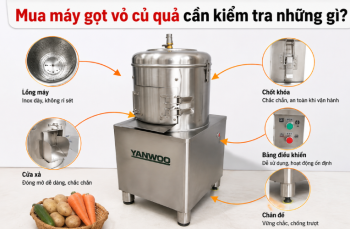 Mua máy gọt vỏ củ quả cần kiểm tra những gì?