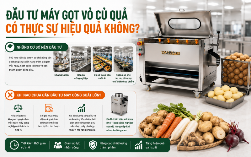 Đầu tư máy gọt vỏ củ quả có thực sự hiệu quả không