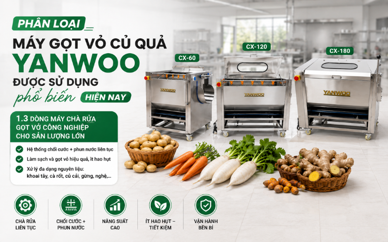 Dòng máy chà rửa gọt vỏ công nghiệp cho sản lượng lớn