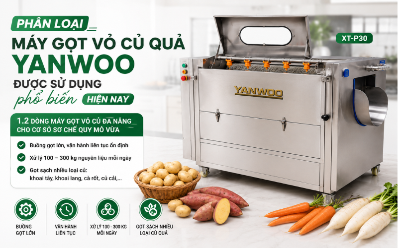 Dòng máy gọt vỏ củ đa năng cho cơ sở sơ chế quy mô vừa
