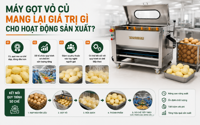 Máy gọt vỏ củ mang lại giá trị gì cho hoạt động sản xuất