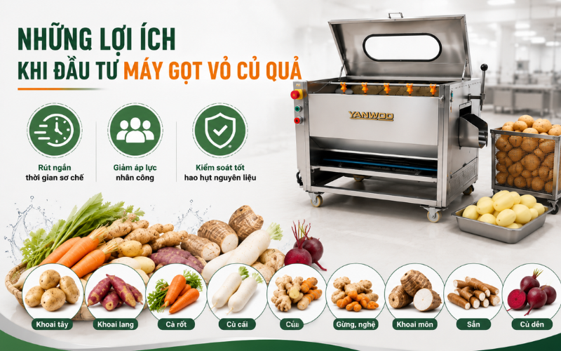 Có nên đầu tư máy gọt vỏ củ quả cho doanh nghiệp?