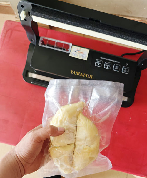 Máy hút chân không gia đình DZ-290A không kén túi