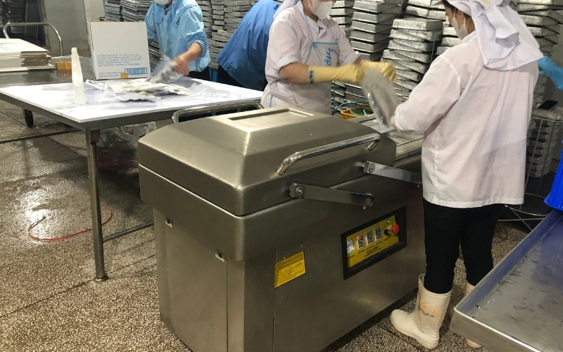 Lưu ý khi chọn mua và sử dụng máy hút chân không