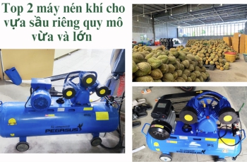 Top 2 máy nén khí cho vựa sầu riêng quy mô vừa và lớn