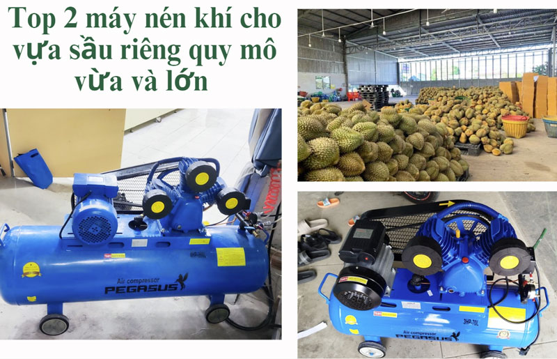 Top 2 máy nén khí cho vựa sầu riêng quy mô vừa và lớn