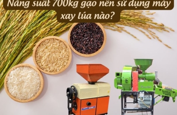 Năng suất 700kg gạo nên sử dụng máy xay lúa nào?