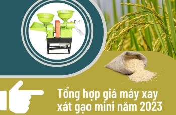 Tổng hợp giá máy xay xát gạo mini năm 2023