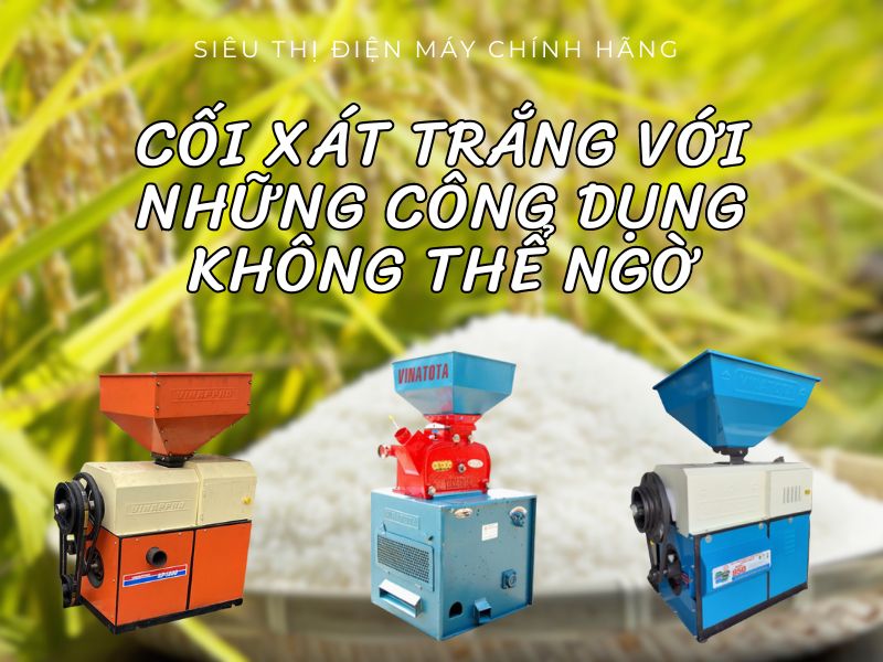 Cối trắng với những công dụng không thể ngờ