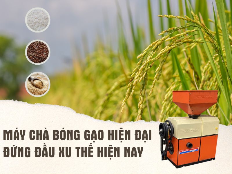 Máy chà bóng gạo hiện đại đứng đầu xu thế 2023