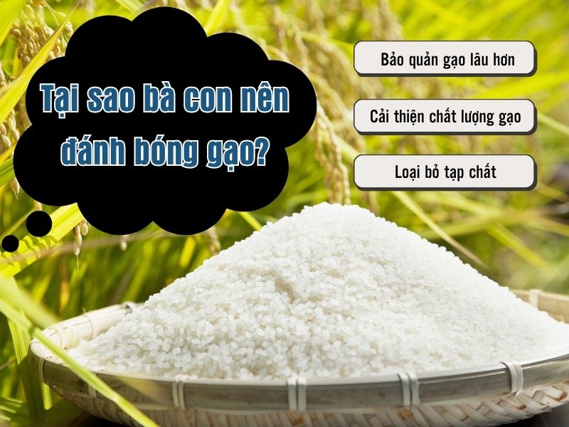 Tại sao bà con nên đánh bóng gạo?