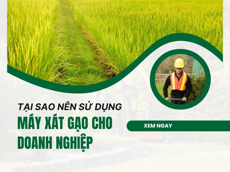 Tai-sao-nen-su-dung-may-xay-xat-cho-doanh-nghiep-cua-ban