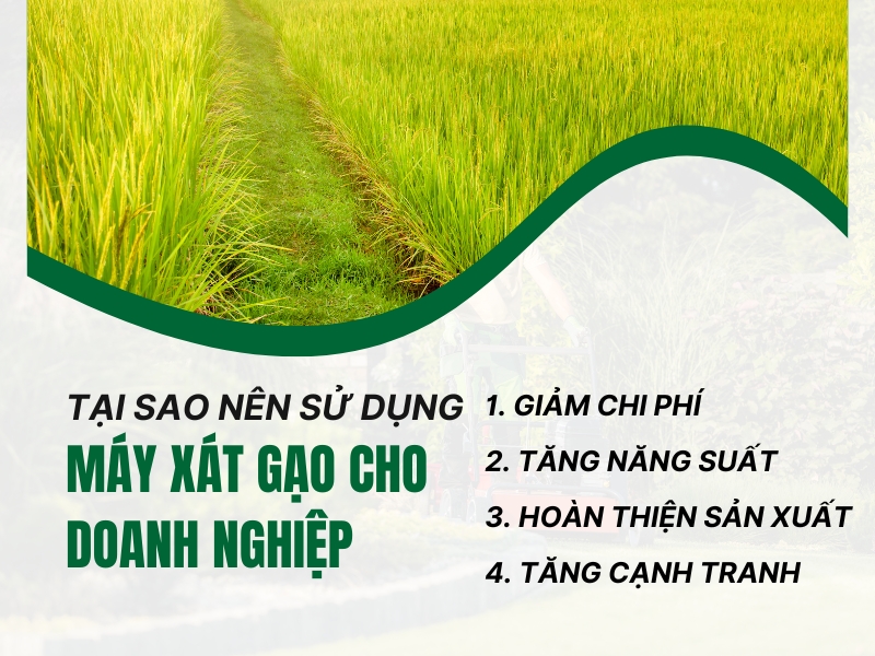 Tai-sao-nen-su-dung-may-xay-xat-cho-doanh-nghiep-cua-ban