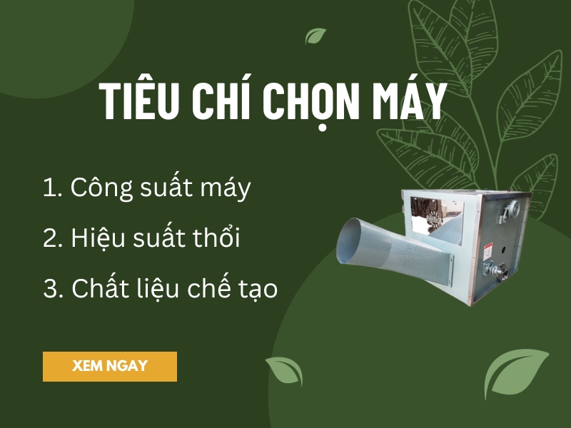 Tieu-chi-chon-lua-thung-thoi-trau-phu-hop