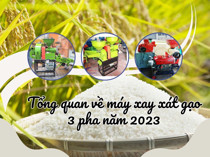 Tổng quan về máy xay xát gạo 3 pha năm 2023