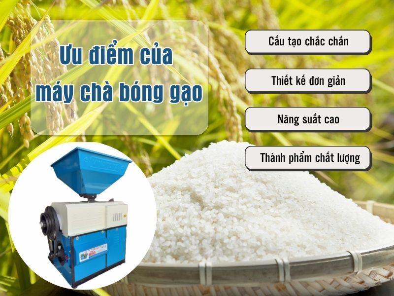 Ưu điểm nổi bật của máy chà bóng gạo