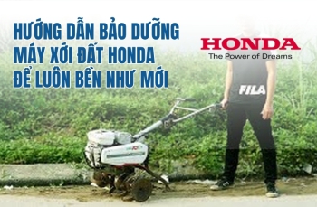 Hướng dẫn bảo dưỡng máy xới đất Honda để luôn bền như mới