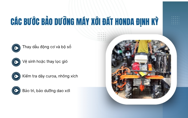 Các bước bảo dưỡng máy xới đất Honda định kỳ