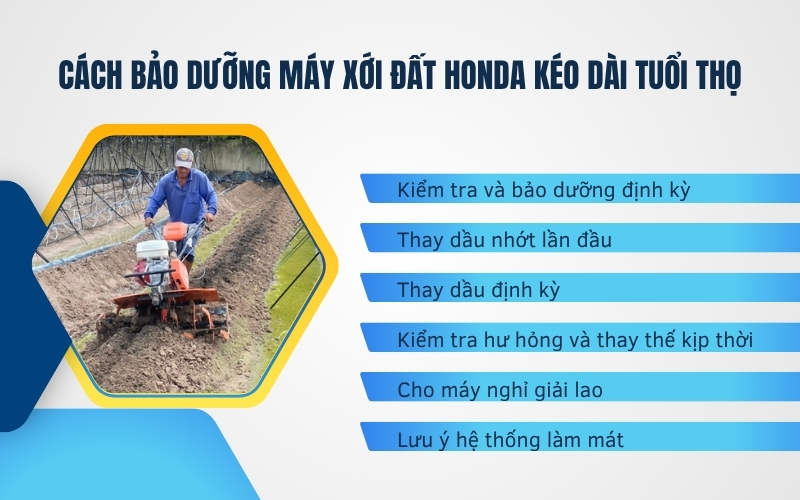 Cách bảo dưỡng máy xới đất Honda kéo dài tuổi thọ