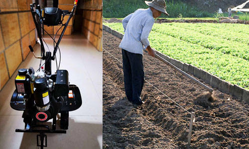 máy xới đất giúp nâng cao hiệu suất trồng trọt, giải phóng sức lao động