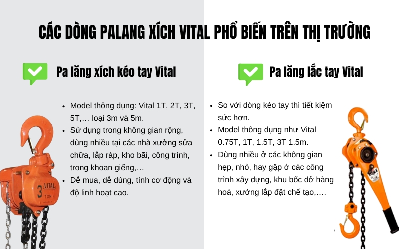 các dòng palang xích Vital phổ biến trên thị trường