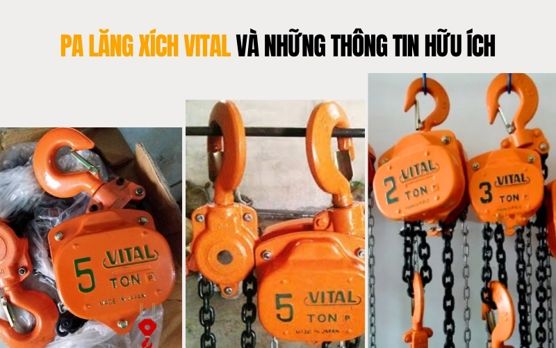 Pa lăng xích Vital và những thông tin hữu ích