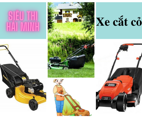 máy cắt cỏ xe đẩy