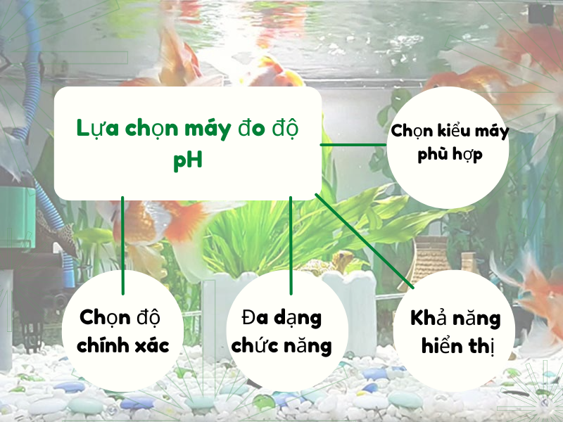 Lựa chọn máy đo ph nước phù hợp cho bể cá