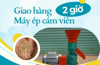 Bàn giao và lắp đặt máy ép cám viên tận nhà trong 2h tại TP Hồ Chí Minh?