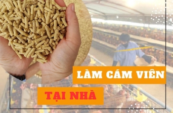 Siêu thị Hải Minh mách bạn cách làm cám viên tại nhà