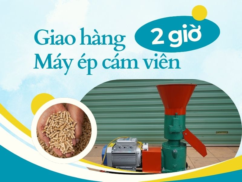 Bàn giao và lắp đặt máy ép cám viên tận nhà trong 2h tại TP Hồ Chí Minh?