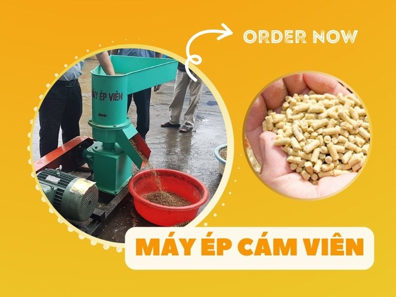 Cách làm cám viên tại nhà một cách dễ dàng