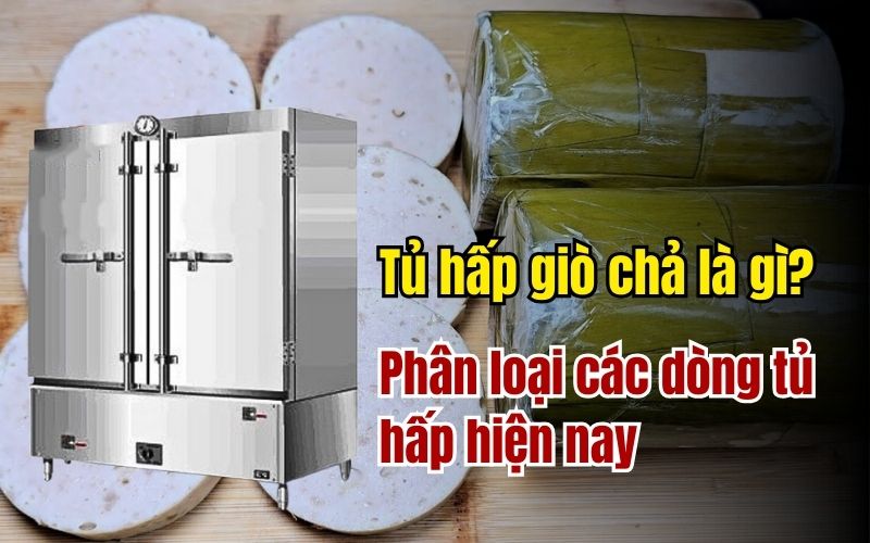 Tủ hấp giò chả là gì? Phân loại các dòng tủ hấp hiện nay