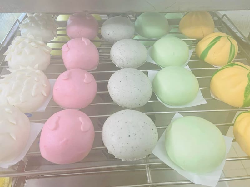 Nên sắm tủ hấp bánh bao nào kinh doanh lãi nhất?